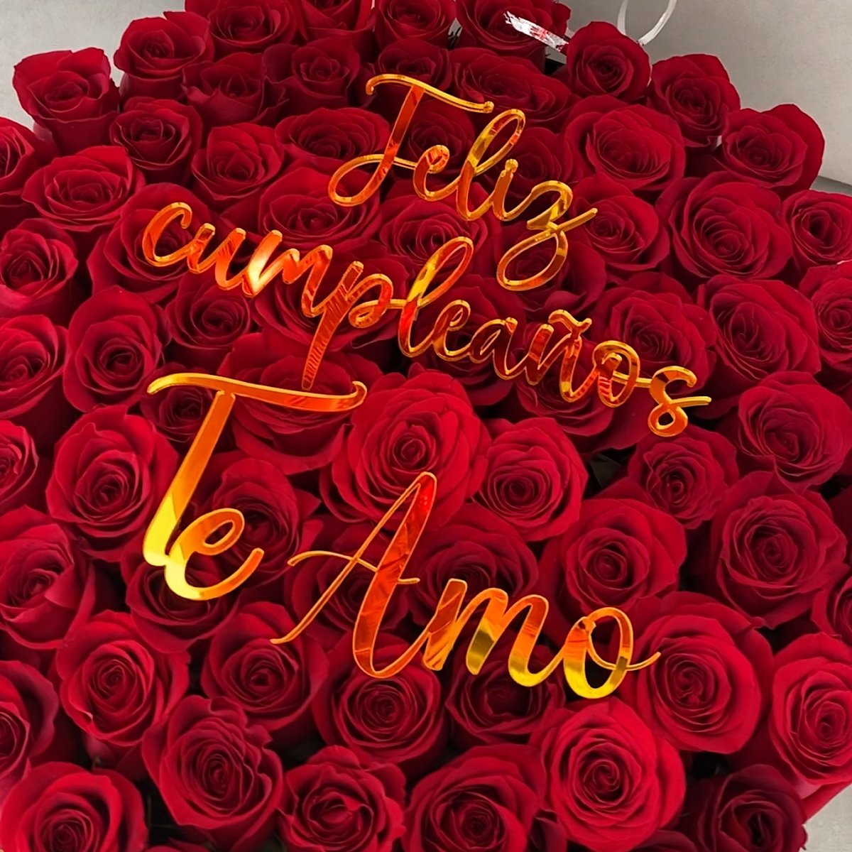 BB8E420E-CA33-417A-8C1A-24442F1D15FA