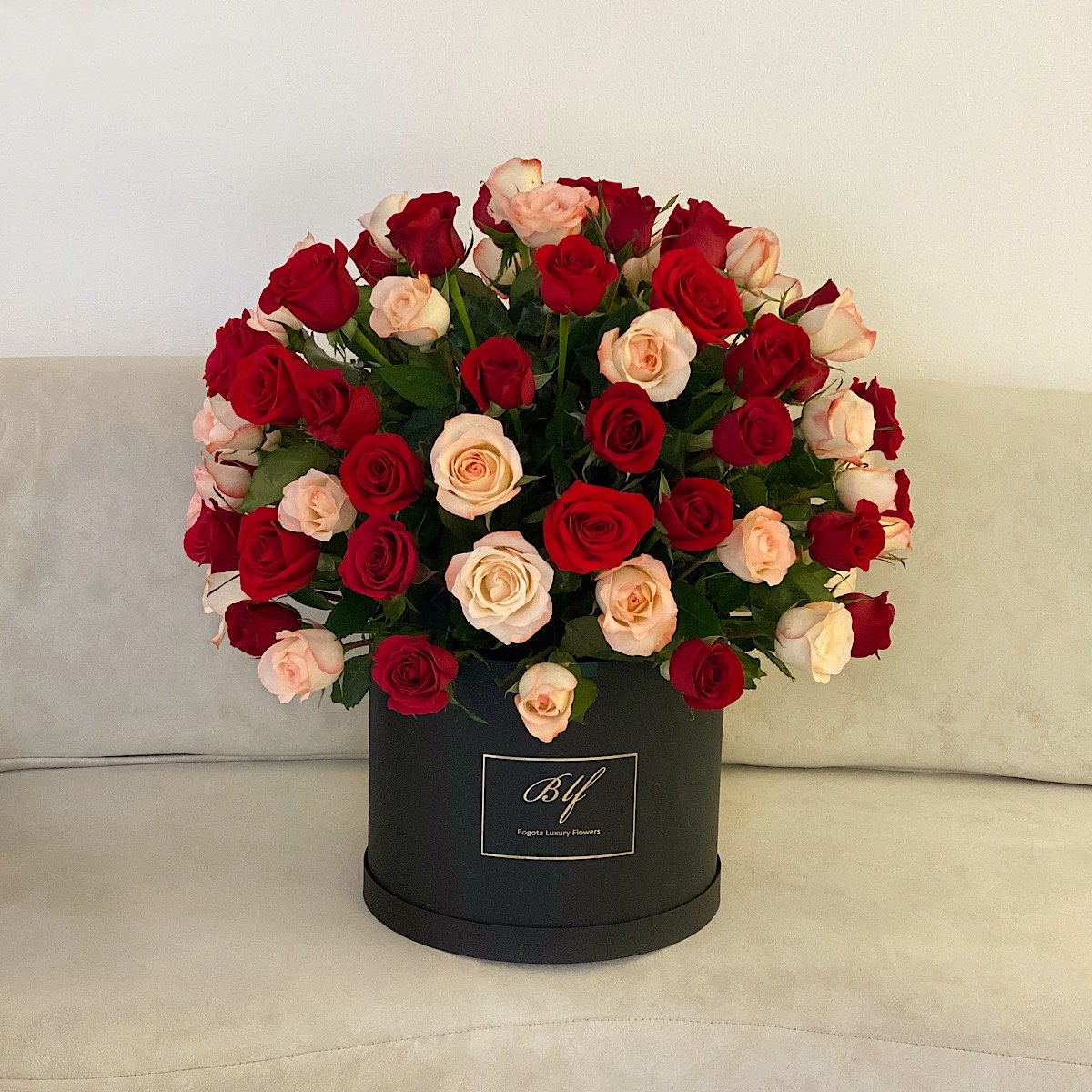 14AC92E7-D2C7-4FC0-90D9-013018A271D2